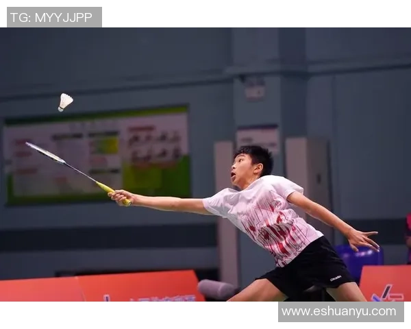 南京羽毛球队在挑战赛中的技术表现分析与点评 南京羽毛球队在挑战赛中的技术表现分析与点评