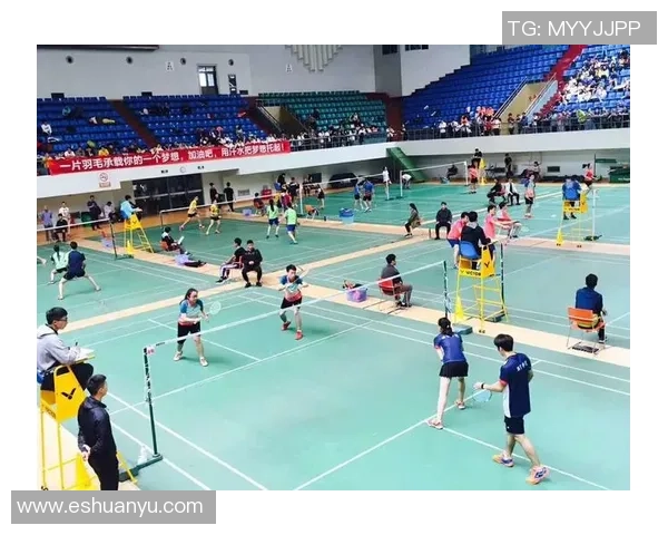 西安羽毛球队力量表现分析与数据解读探讨 西安羽毛球队力量表现分析与数据解读探讨