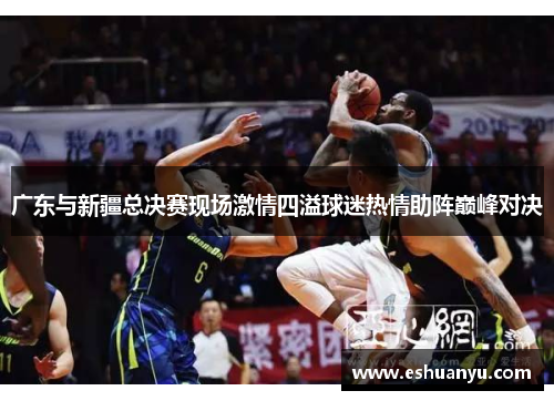 广东与新疆总决赛现场激情四溢球迷热情助阵巅峰对决
